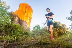 BIB: 
                            <button type="button" onclick="openModal(19301566)" class="btn btn-primary btn-sm float-right btn-popup" data-toggle="modal" data-target=".modal-high-quality">
                        <i class="fas fa-shopping-cart"></i> Add to Cart
                    </button>
                                            <button type="button" onclick="isThisMe(19301566, true)" class="btn btn-success btn-sm float-right btn-popup btn-isme hidden" data-toggle="tooltip" data-placement="bottom" title="นี่คือรูปของคุณใช่ไหม คลิกที่นี่เพื่อเอาเข้าอัลบั้ม">
                        <i class="fas fa-plus"></i> Add to album
                    </button>
                    <button type="button" onclick="isThisMe(19301566, false)" class="btn btn-warning btn-sm float-right btn-popup btn-isnotme hidden">
                        <i class="fas fa-ban"></i> Remove from album
                    </button>